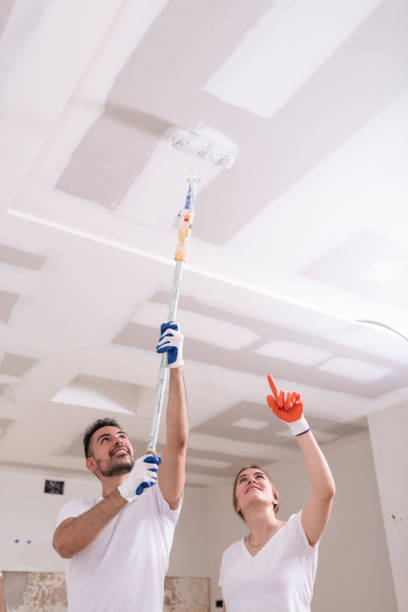 Best Water Damage & Mold Remediation  in South Greeley, WY