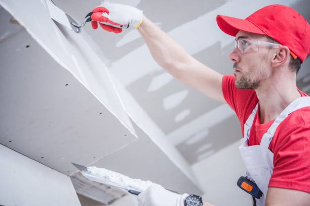 Best Attic Mold Removal  in South Greeley, WY